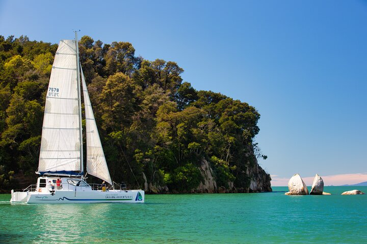 Sail, Seals, and Walk Tour in Abel Tasman - Photo 1 of 7